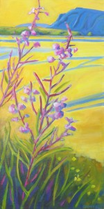 Fireweed and Fritz Cove