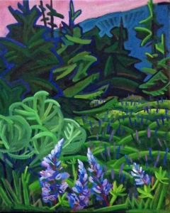 Lupine-Field---Fish-Creek-1