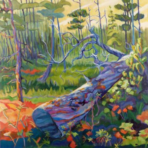 Pinus-Contorta-acrylic-30w-30w-2015-555px-555px-web - Copy